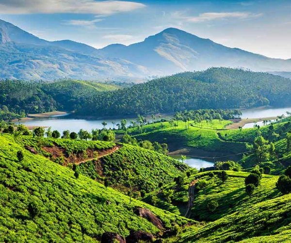 Munnar-Kerala-1